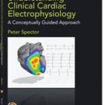Understanding Clinical Cardiac Electrophysiology