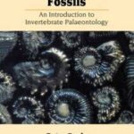 Understanding Fossils