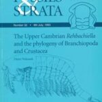 Upper Cambrian Rehbachiella and the Phylogeny of Brachiopoda and Crustacea