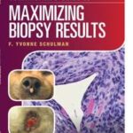 Veterinarian's Guide to Maximizing Biopsy Results