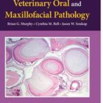 Veterinary Oral and Maxillofacial Pathology