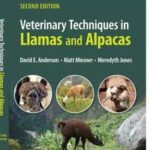 Veterinary Techniques in Llamas and Alpacas