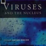 Viruses and the Nucleus