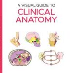 A Visual Guide to Clinical Anatomy