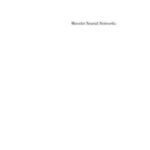 Wavelet Neural Networks
