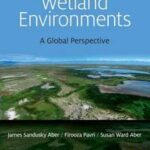 Wetland Environments