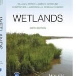 Wetlands