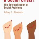What Makes a Social Crisis?