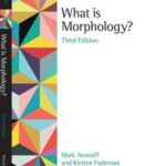 What is Morphology?
