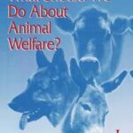What Should We Do About Animal Welfare