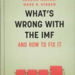 What's Wrong With the IMF and How to Fix It