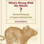 What's Wrong With My Mouse?