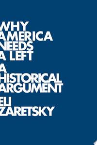 why-america-needs-left-historical-argument-9780745644844