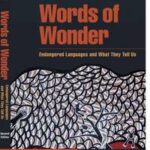 Words of Wonder