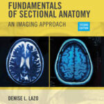 Fundamentals of Sectional Anatomy