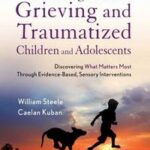Working with Grieving and Traumatized Children and Adolescents