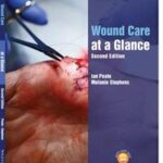 Wound Care at a Glance