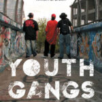 Youth Gangs in American Society